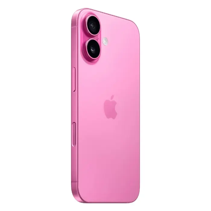 16 rosa back.webp