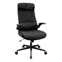 Silla Gamer Cougar Stryder Ergonómica Negra 3MSTDBLB.0001 (1).webp