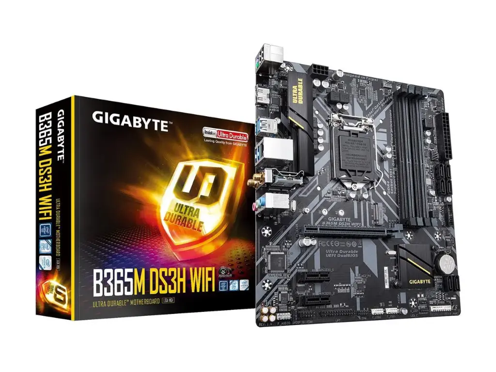 Tarjeta madre Gigabyte B365M Ds3H WiFi