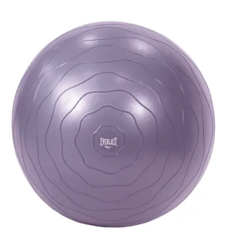 Bola de Ejercicio Everlast 65CM EVYB3W065