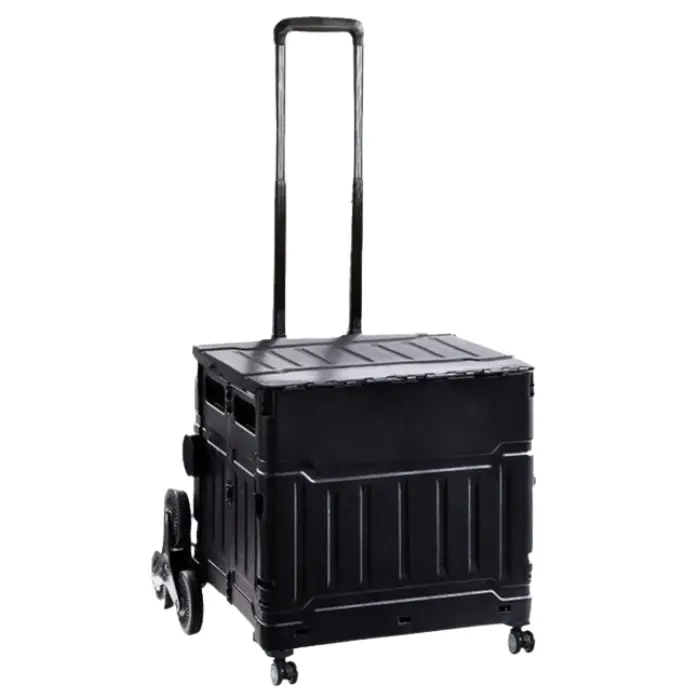 Carrito Plegable con Llantas La Gotera 30Kg Max. Negro YN8802N