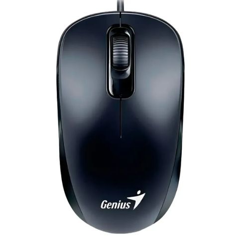 Mouse Genius RS2 DX-110 31010116100