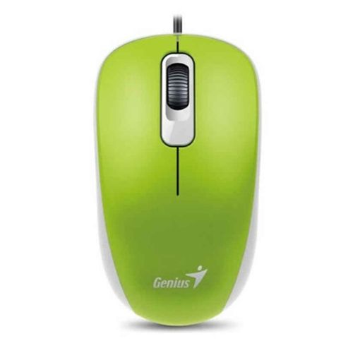 Mouse Genius RS2 DX-110 31010116105