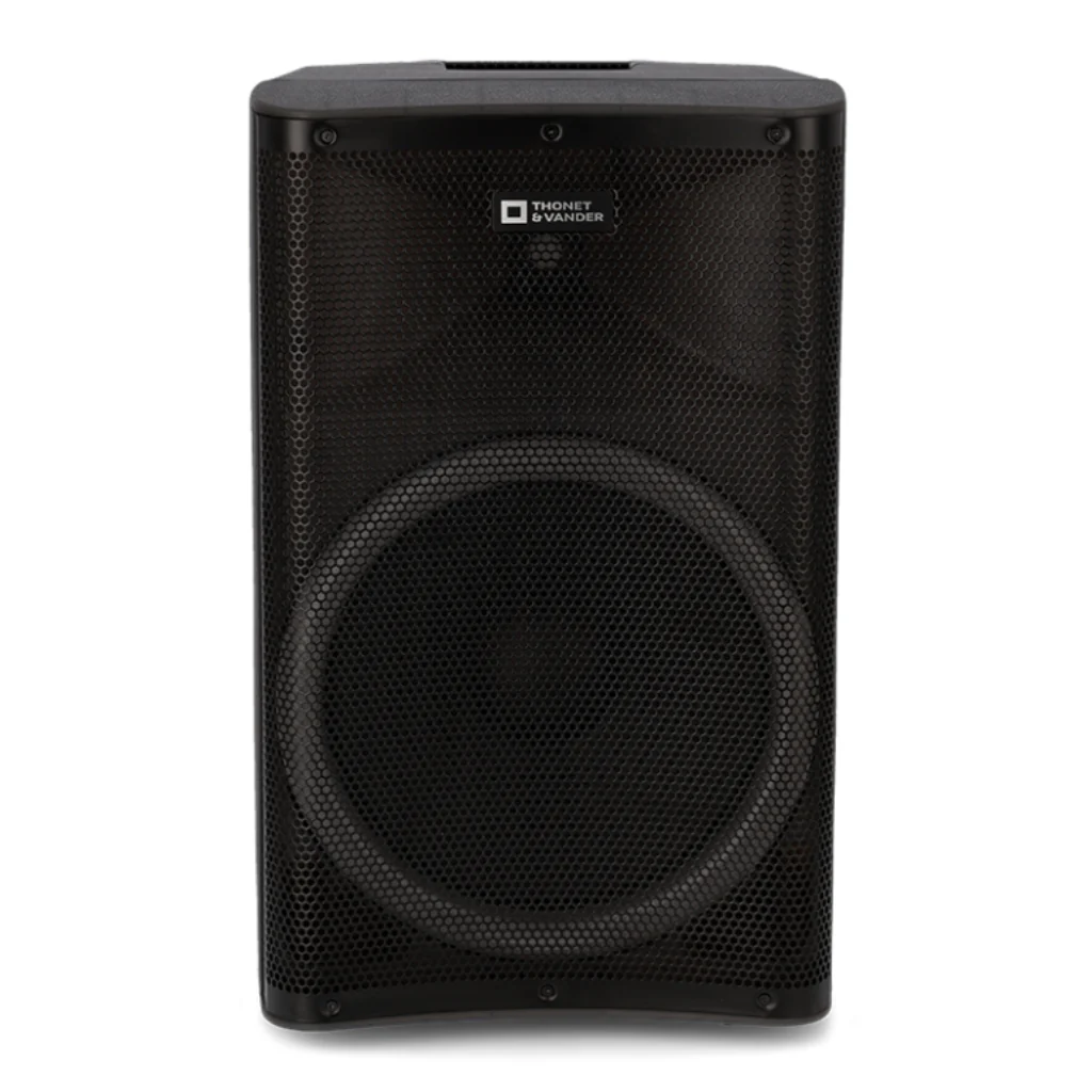 PARLANTE THONET & VANDER STARKG2 250W BLUETOOTH Y RCA CON MICROFONO INALAMBRICO HK096-03646