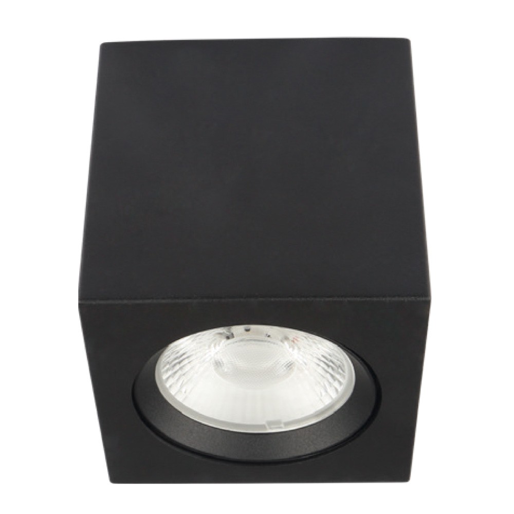 INTERIOR ACENTO SPOT LED10W100-240V3000K
