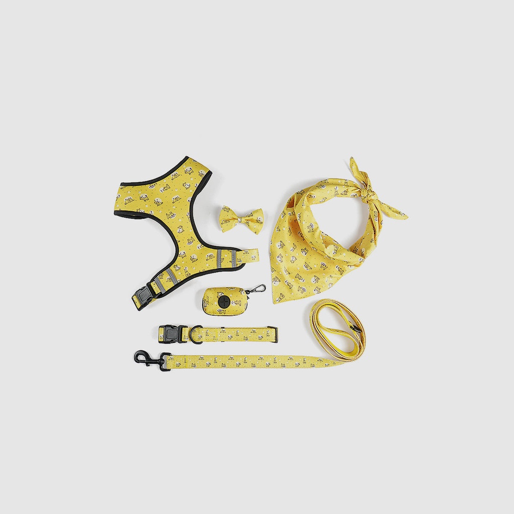 Set de correa M amarillo SH06
