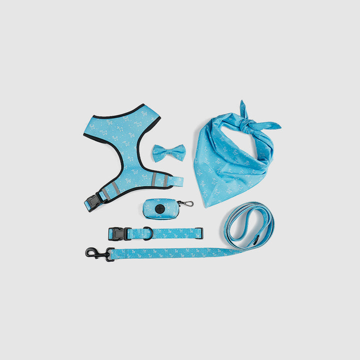 Set de arnés celeste M SH04