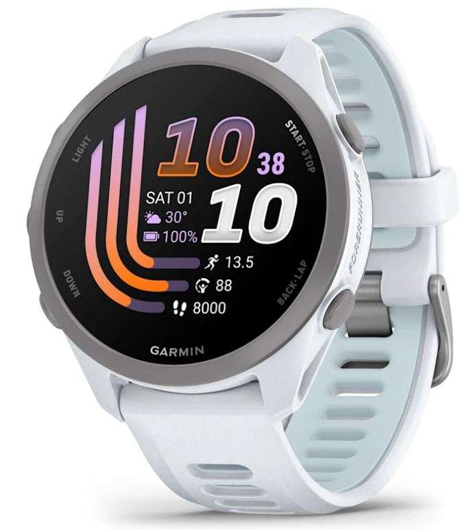 SmartWatch Garmin Forerunner 170 Music, GPS, WiFi, Whitestone/Cloud Blue 010-03920-11