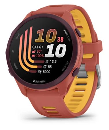 SmartWatch Garmin Forerunner 170 Music, GPS, WiFi, Red Pink/Mango 010-03920-13