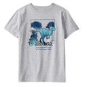 Camiseta niño dinosaurio gris 🦖